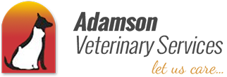 A logo with a silhouette of a sitting dog against a red-orange gradient background on the left. To the right of the silhouette is the text "Dogs Trust" in gray and "A dog is for life" in orange, reflecting their commitment to lifelong care, much like your trusted veterinarian.
